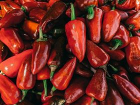 Piments