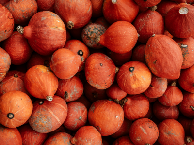 Potimarrons L
